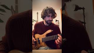 Some Bass Chords #shorts #bassplayer #music #jazz #improvisation #dream