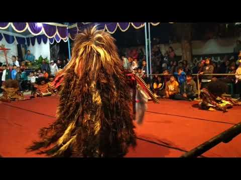 Detik detik 2 Leak Kesurupan ‼️Budaya Larasati Tegalombo