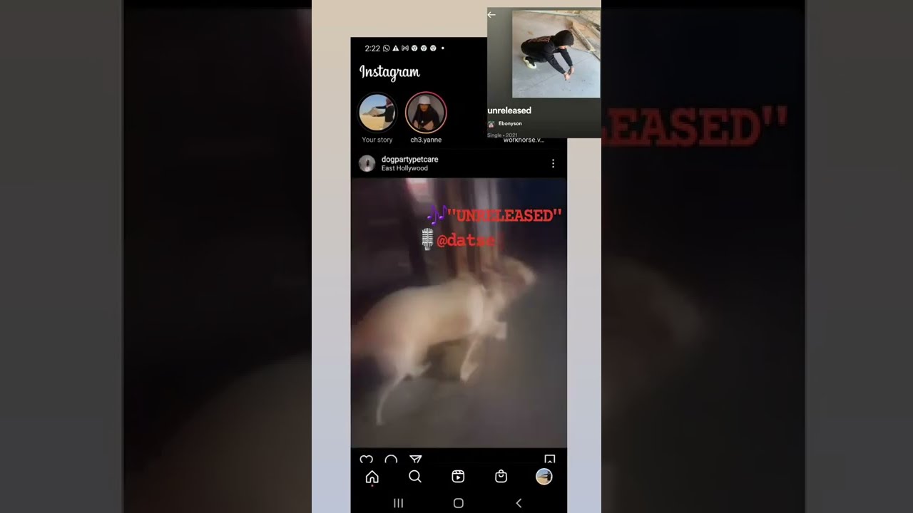 Watch @DatsEbonySon "UNRELEASED" Clip 1 {@AustinLoveAdvisory_813ent} 813 Entertainment a.LOVE Life$tyle on YouTube Watch @DatsEbonySon "UNRELEASED" Clip 1 {@AustinLoveAdvisory_813ent} 813 Entertainment a.LOVE Life$tyle on YouTube