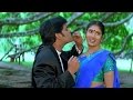 Seetaramaraju Movie || Srivaru Doragaru Video Song || Nagarjuna,Sanghavi