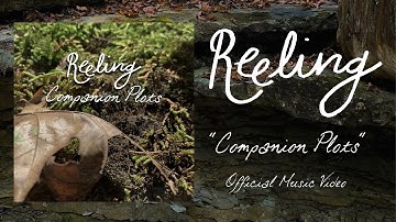 Reeling - Companion Plots (Official Video)