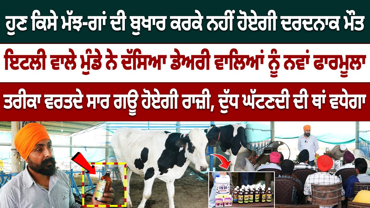 ਪਸ਼ੂਆਂ ਦਾ ਲੰਗੜ੍ਹਾ ਬੁਖਾਰ ਉਤਾਰਨ ਵਾਲਾ ਦੇਸੀ ਕਰਾਮਾਤੀ ਨੁਸਕਾ