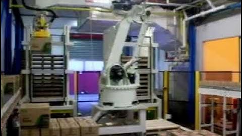 Carton Palletizing Cases of Butter by ICON Robotics