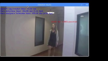 Raspberry pi openVINO Emotion Recognition Demo