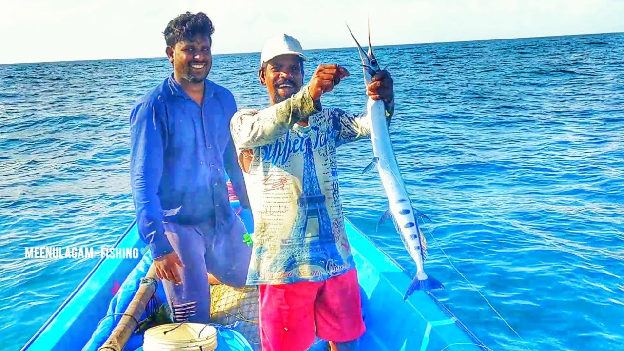 LONGLINE FISHING //CATCHING GARFISHES BACK TO BACK YouTube