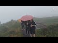 Misty Morning Up the Cavehill (Part 4)