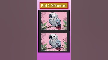 Find 3 Differences | Cartoon Grey Parrot Challenge | Spot the Difference #puzzle #findthedifferences