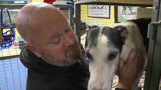 "Heroes Among Us": Racing to Rescue the Greyhound - Greg McQuade / WTVR-TV (2/9/23)