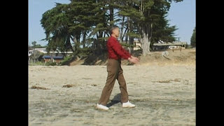 Wild Goose 5 - Soft Palms Qigong Demonstration HD Remastered screenshot 1