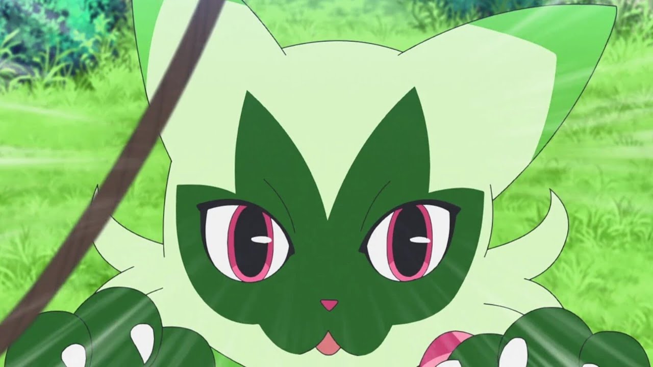 Floragato wants to play with rope 😺