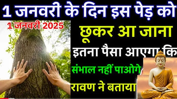 1 जनवरी नया साल के दिन इस पेड़ को छूकर आ जाना, इतना पैसा आएगा कि...#pradeepmishra #newyear2025 #upay