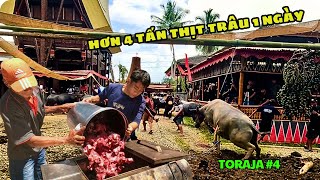 More than 4 tons of buffalo a day  the journey to the afterlife is expensive in Indonesia