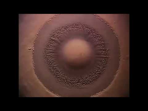 Obejrzyj Vortex - Flood ( Music Video ) w YouTube Obejrzyj Vortex - Flood ( Music Video ) w YouTube