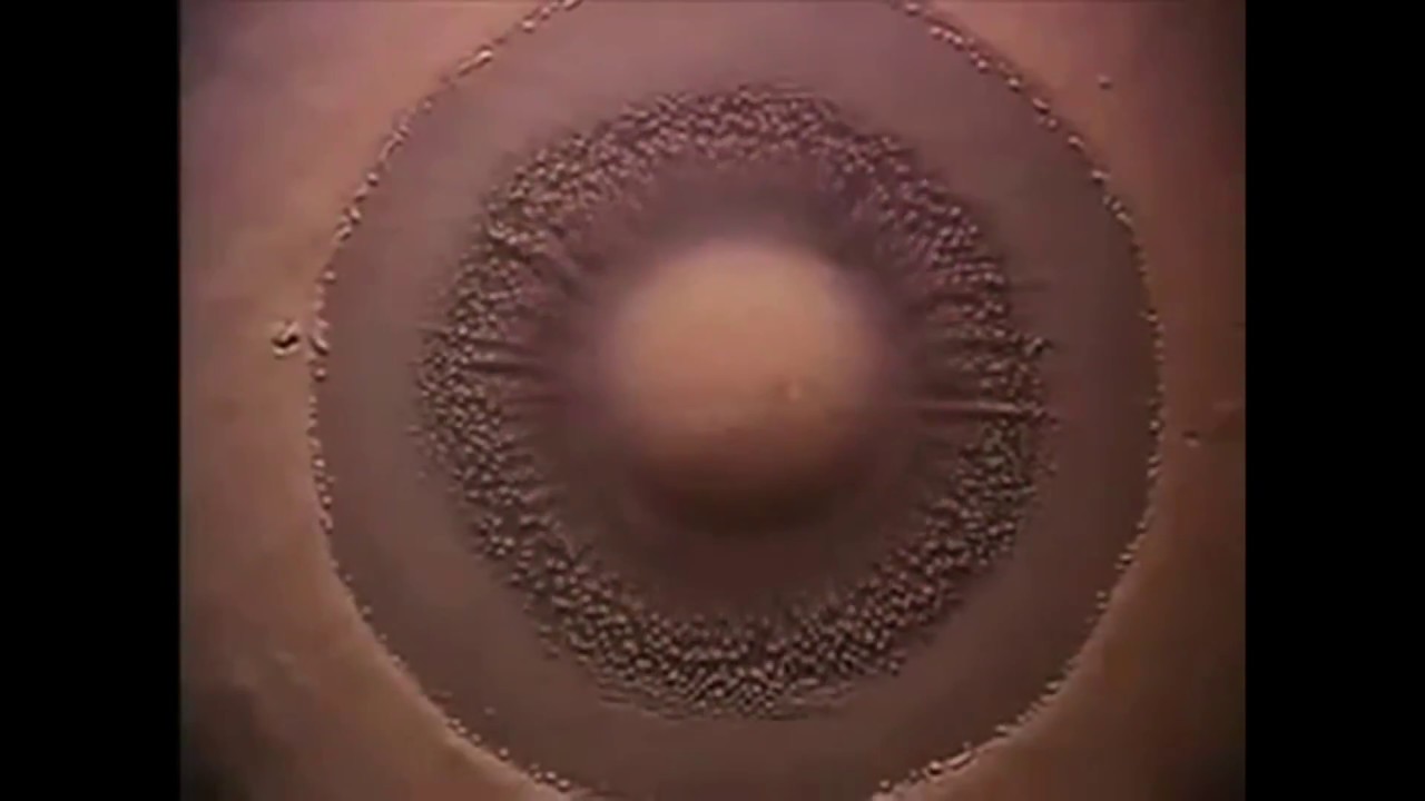 Watch Vortex - Flood ( Music Video ) on YouTube Watch Vortex - Flood ( Music Video ) on YouTube