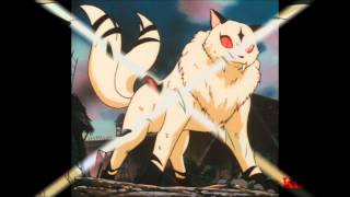 Kirara theme song(Inuyasha)