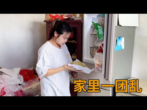 河南老家实在太乱了，这次真的要抓狂了，为何好好的一个家成这样【青妹妹】