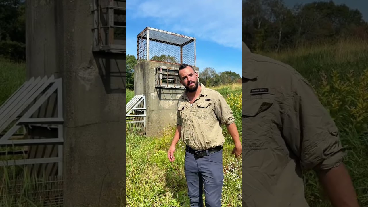 TWD S1-4 be like😂 