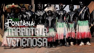 Los Fontana - Tarantela Venenosa (Guerra de Guayabas) Coatepec Harínas