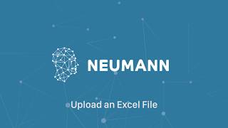 Neumann AI - Upload an Excel File