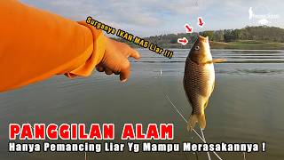 PEMANCING LIAR ITU NGGAK TAKUT BONCOS! MEREKA CUMA TAKUT HAL INI TERJADI! Fishing Story Eps 157 screenshot 3