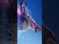 Godzilla 🔥@moviesrats #godzilla #godzillakingofthemonsters #movieshorts