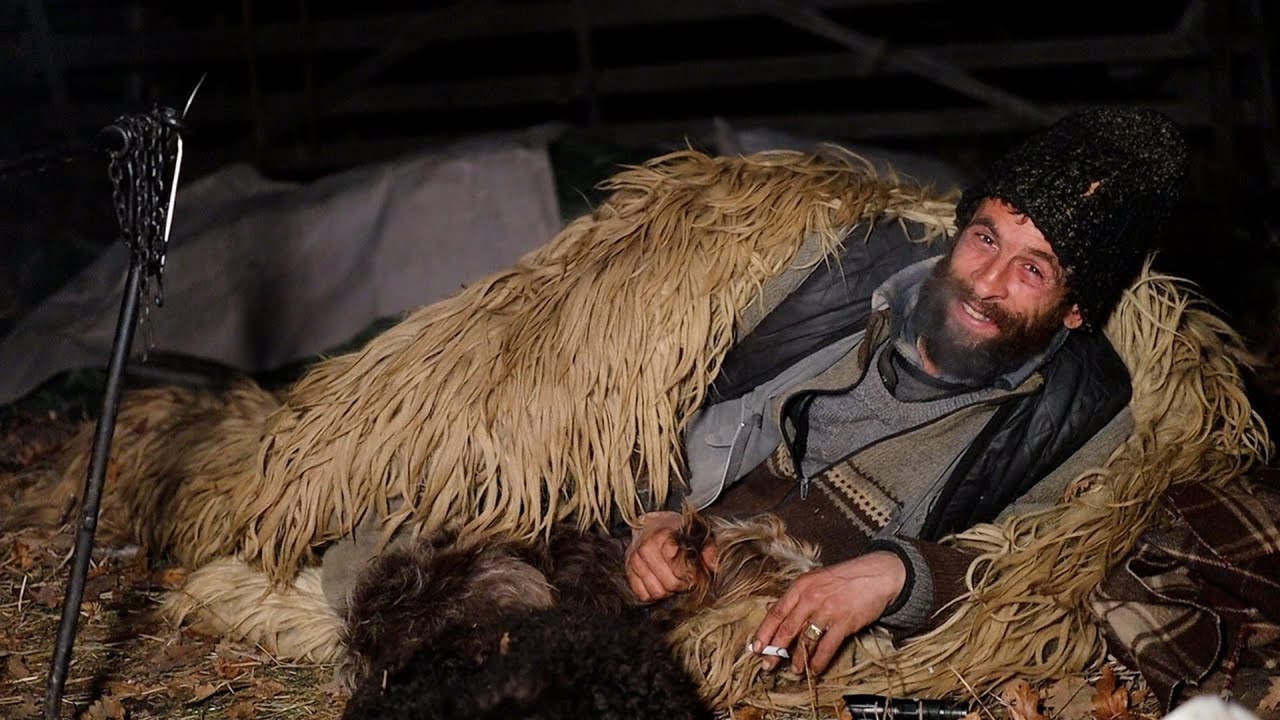 TRANSHUMANȚA DE IARNĂ | CUM AU MURIT INTR-O SINGURĂ NOAPTE 1700 DE OI ȘI 600 DE MIEI? - DOC. EP.5