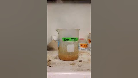 Analyzing water samples for microplastics!