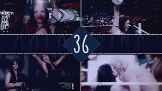 Sony Vegas Coloring | 36