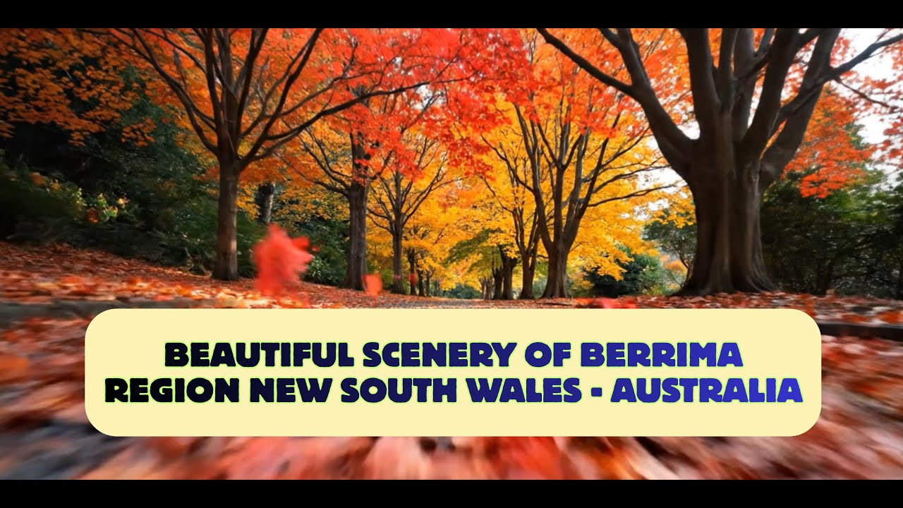 🦘Beautiful scenery of Berrima region. New South Wales - Australia✨