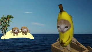banana cat попал на не обитаемый остров🙀🏝️
