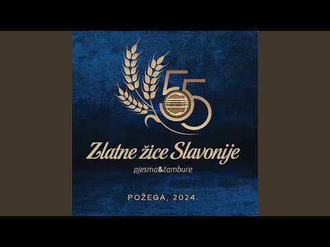 Još ovu noć