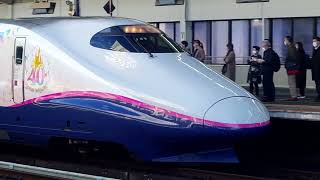 E2系J69編成「Magical Dream Shinkansen」+E3系2000番台　やまびこ１２２＋つばさ１２２　宇都宮駅発着　E5系　やまびこ１２５　宇都宮駅着