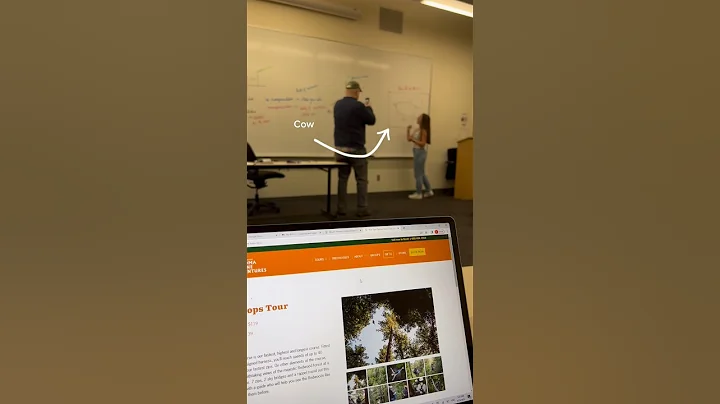 Day in the life of a secret introvert #collegelife #dayinmylife