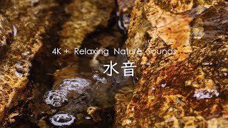 【4K高精細＋自然環境音】優しく流れる水の音 - 静かな水音 - リラックス screenshot 5