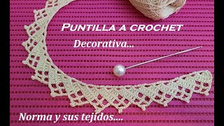 Puntilla a crochet decorativa