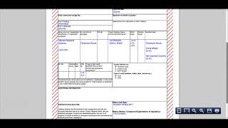 IMDG Dangerous Goods Declaration Report screenshot 5