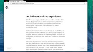 Void: A Minimal Text Editor for WordPress