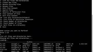 File Management System | Project Description | Operating System Project video