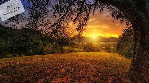 تلاوة عطرة تريح القلوب❤️أرح سمعك🎧سورة المؤمنون كاملة بصوت هادئ وجميل يلامس القلوب💚صوت عذب وآخاذ🤗