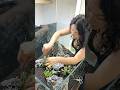 Building Iwagumi style #iwagumistyle #asmr #aquarium