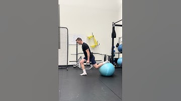 Gym Ball Bulgarian Isometric
