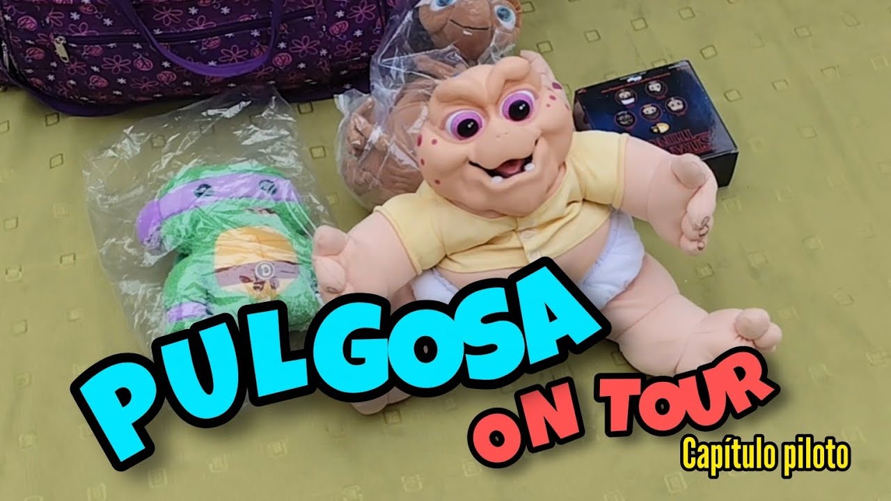 PULGOSA ON TOUR🌍. Capitulo Piloto. Recorriendo La feria de Valpo con su gente😎💫