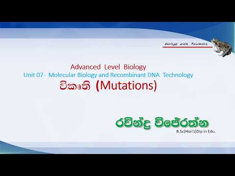 විකෘති Mutations