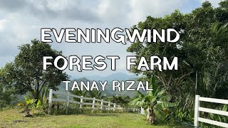 Escaping To Eveningwind Tent Life, Camp Vibes & Nature Feels