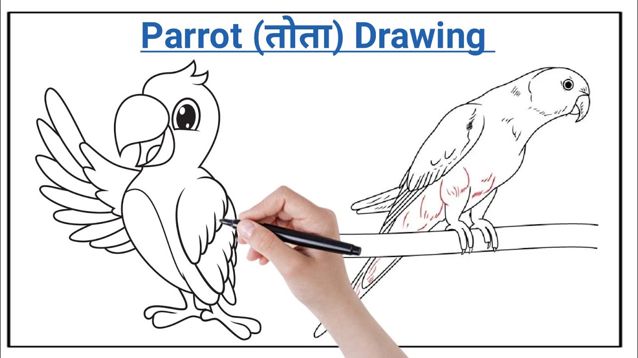 Parrot🦜 Drawing || Parrot Colouring || तोता का चित्र बनाना सीखें ...