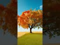 A Tree’s Journey Through Seasons | AI-Generated Visuals &amp; Music #aianimation #aigenerated #nature