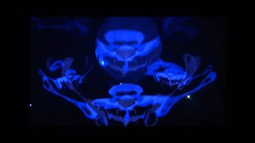 music-video-Art-project: opsonization, live-show-demo