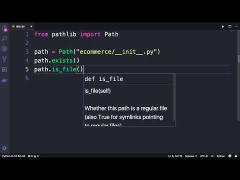 Python #100 - Working With Paths [By Mosh Hamedani]