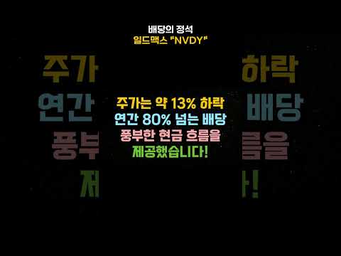 💰 연 배당률 80% 엔비디아 고배당 ETF ! NVDY !