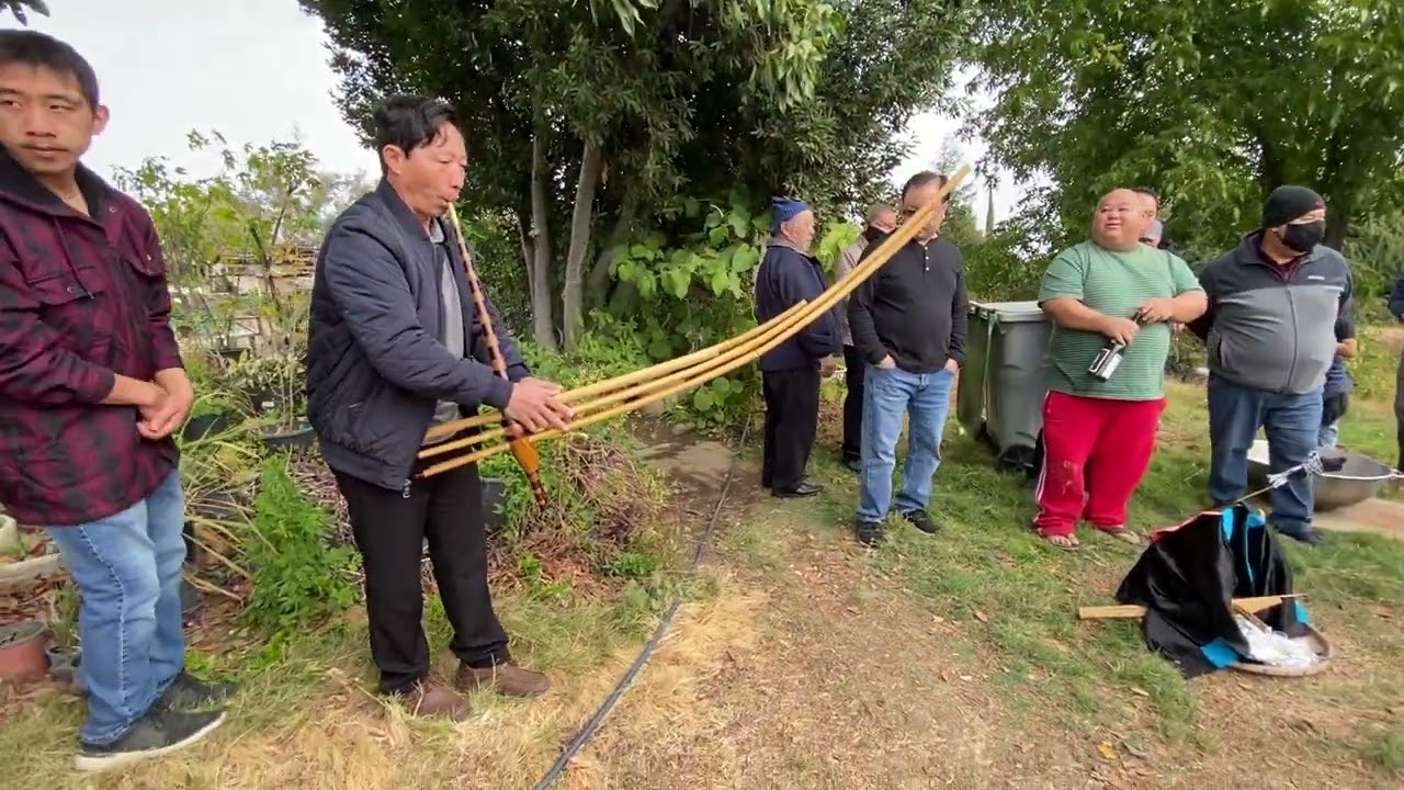 Qeej plig tos kauj part 1